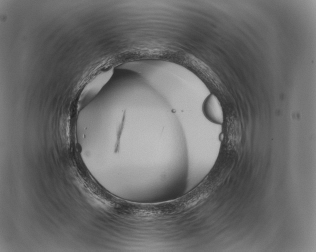 X0000085830494200703301623