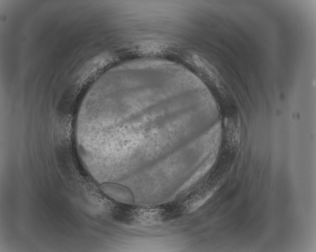 X0000085830495200703301623