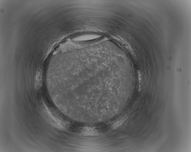 X0000085830496200703301623