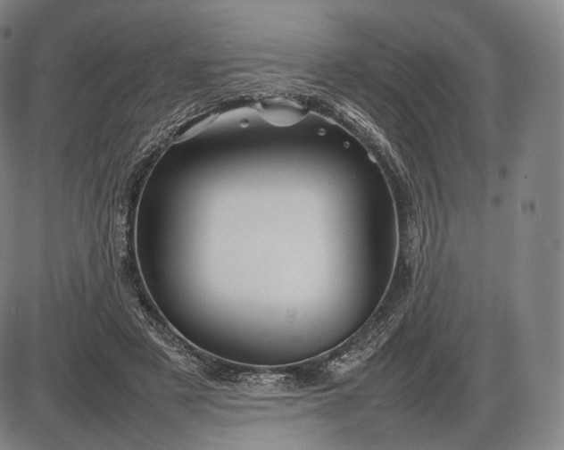 X0000085830497200703301623