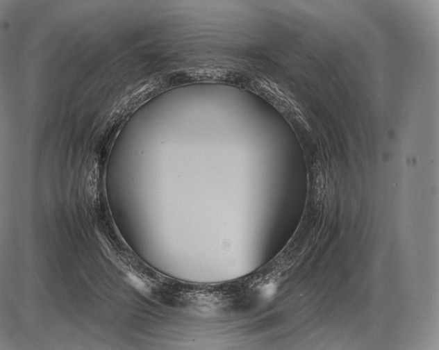 X0000085830498200703301623