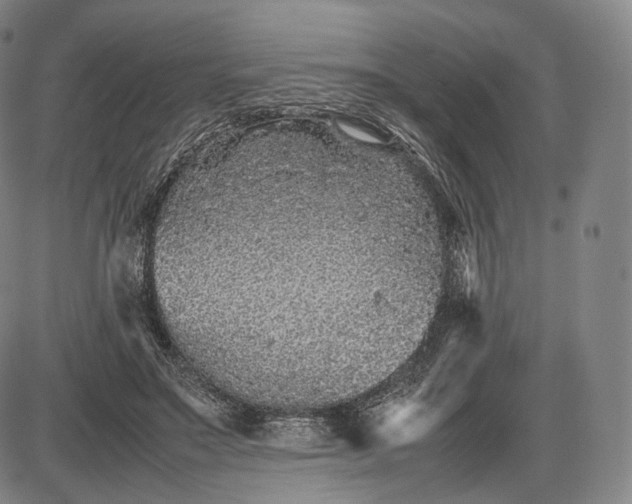 X0000085830499200703301623