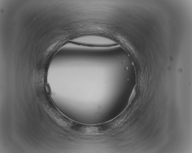 X0000085830501200703301623