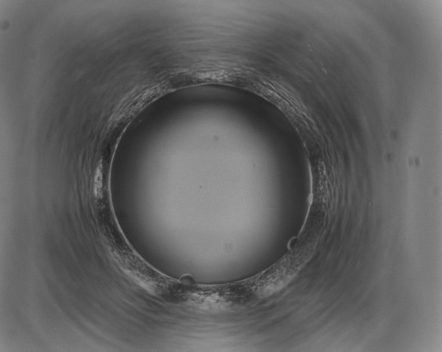 X0000085830502200703301623