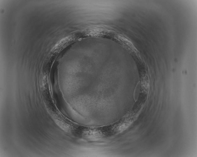 X0000085830503200703301623