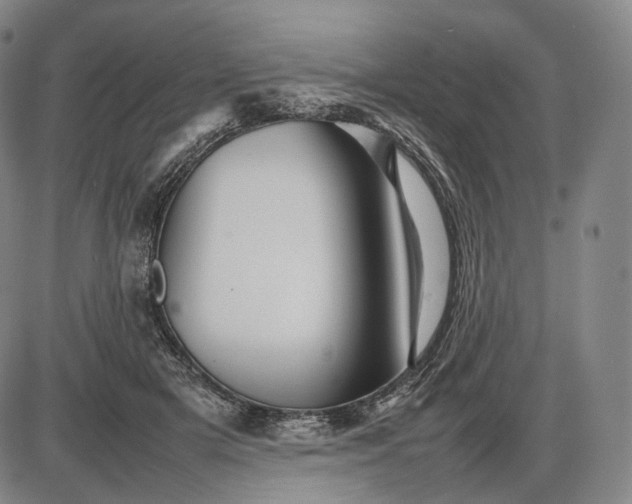 X0000085830505200703301623