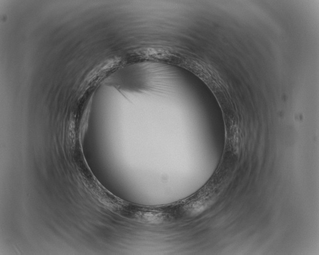 X0000085830506200703301623