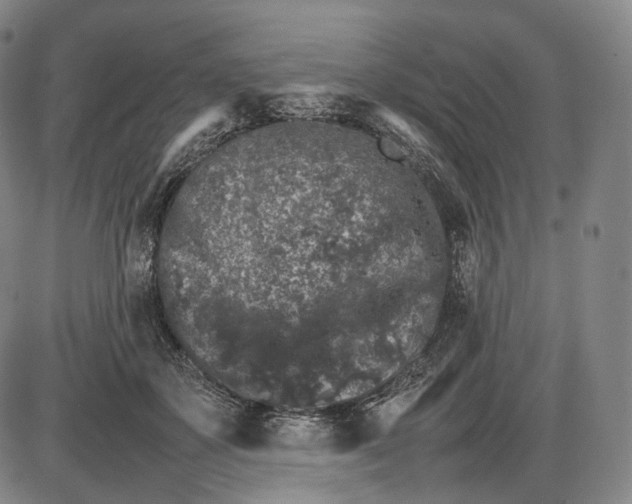 X0000085830507200703301623