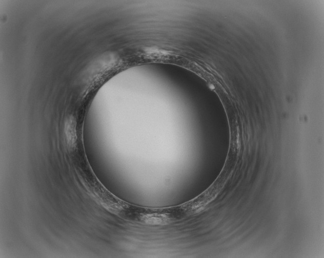 X0000085830508200703301623