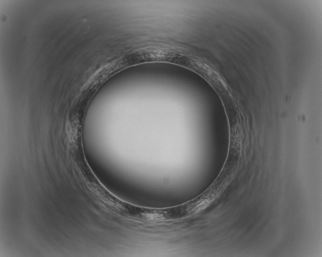 X0000085830509200703301623