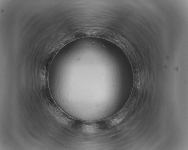 X0000085830510200703301623