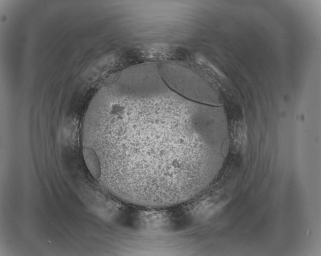 X0000085830511200703301623