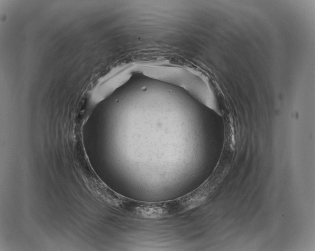 X0000085830512200703301623