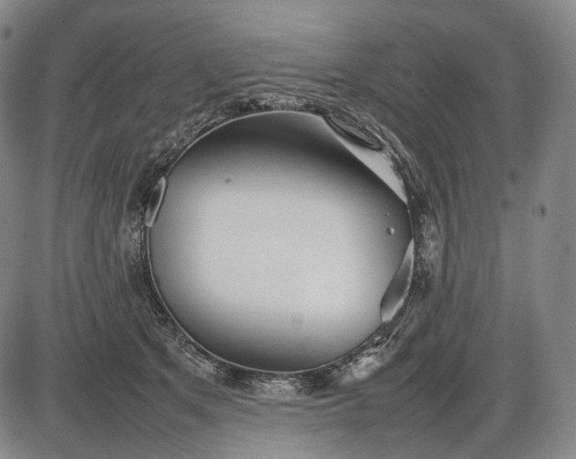 X0000085830513200703301623