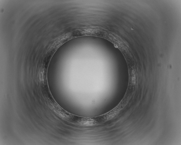 X0000085830514200703301623