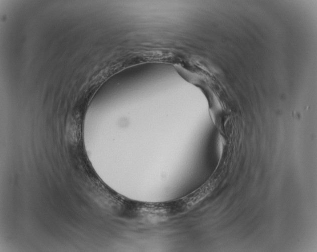 X0000085830515200703301623