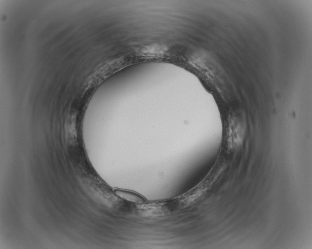 X0000085830516200703301622