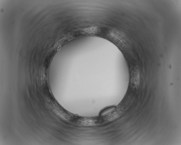 X0000085830518200703301622