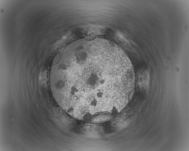 X0000085830519200703301622