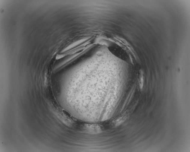 X0000085830520200703301622