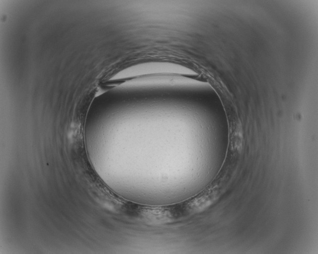 X0000085830521200703301622