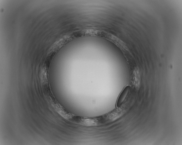 X0000085830522200703301622