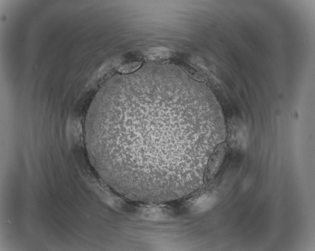 X0000085830523200703301622