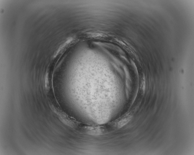 X0000085830524200703301622