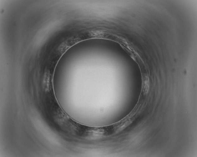 X0000085830525200703301622