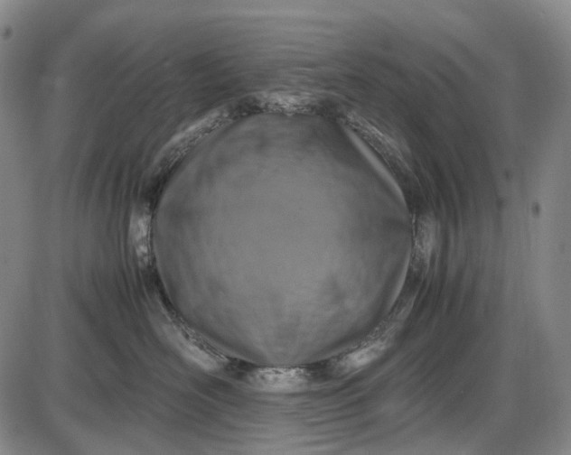 X0000085830526200703301622