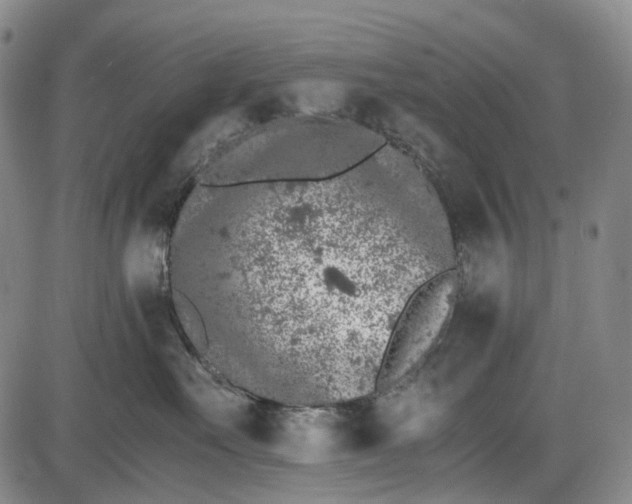 X0000085830527200703301622