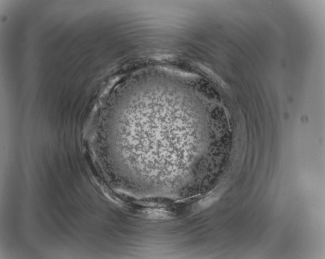 X0000085830528200703301622