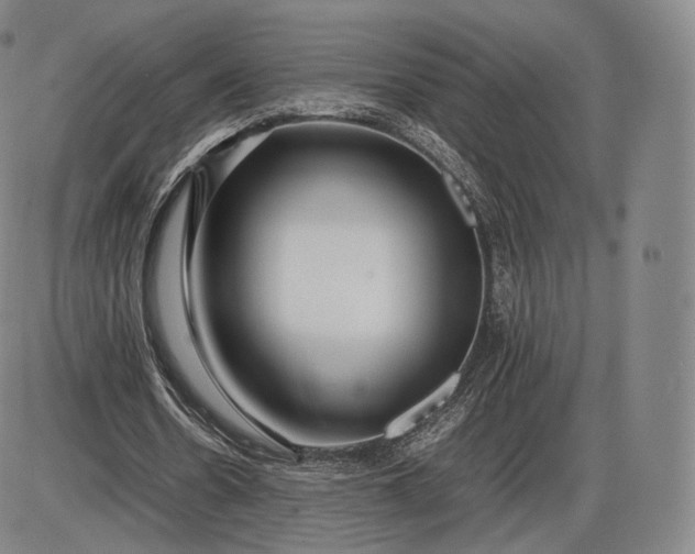 X0000085830530200703301621