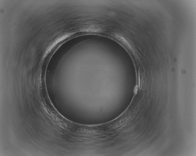 X0000085830531200703301621