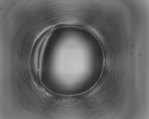 X0000085830532200703301622