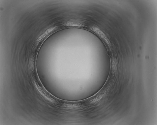 X0000085830533200703301622