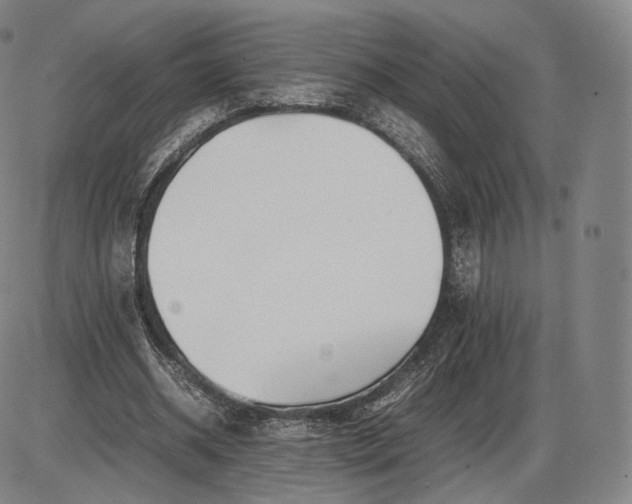 X0000085830534200703301622