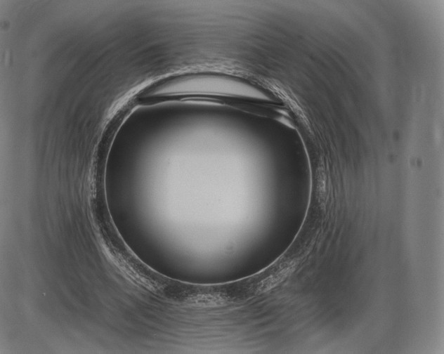 X0000085830536200703301622