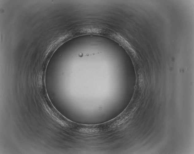 X0000085830537200703301622