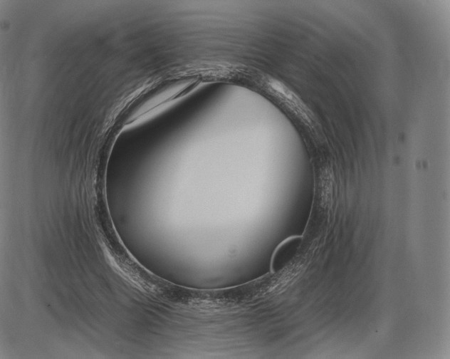 X0000085830538200703301622