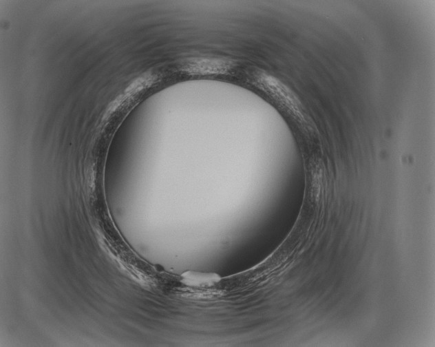 X0000085830539200703301622