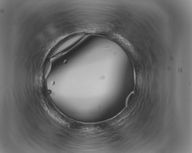 X0000085830540200703301622