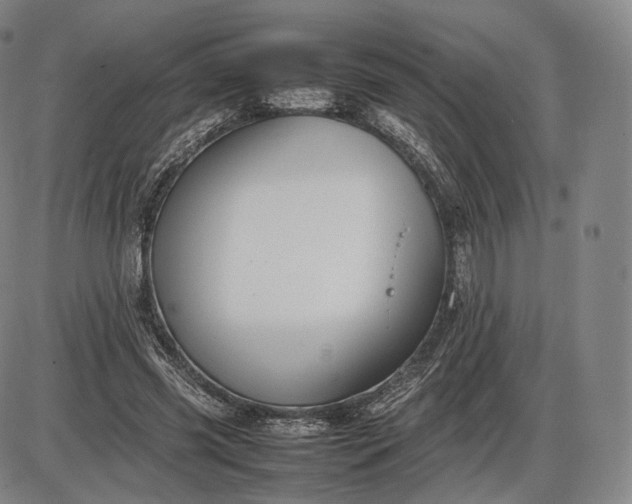 X0000085830541200703301622