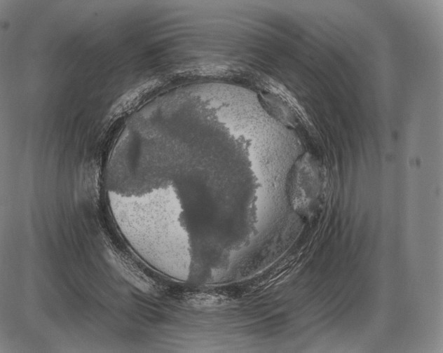 X0000085830542200703301622