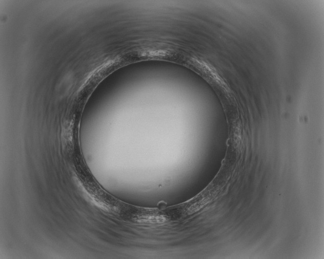 X0000085830543200703301622