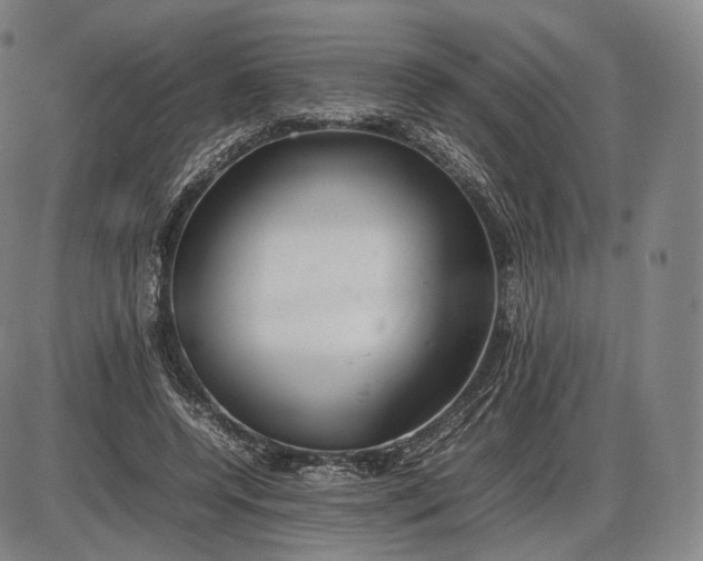 X0000085830544200703301622