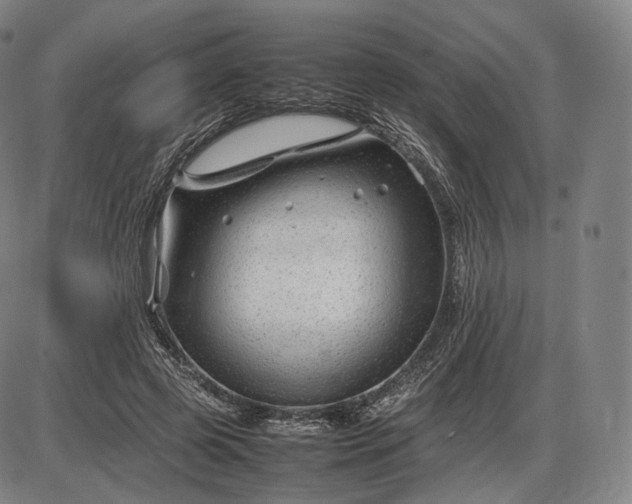 X0000085830545200703301622