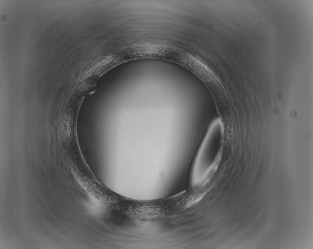 X0000085830546200703301622