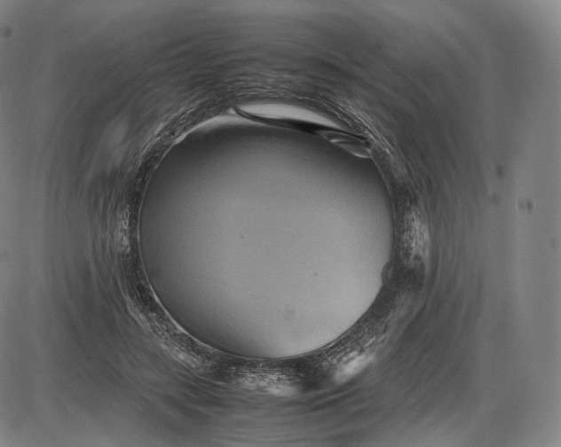 X0000085830547200703301622