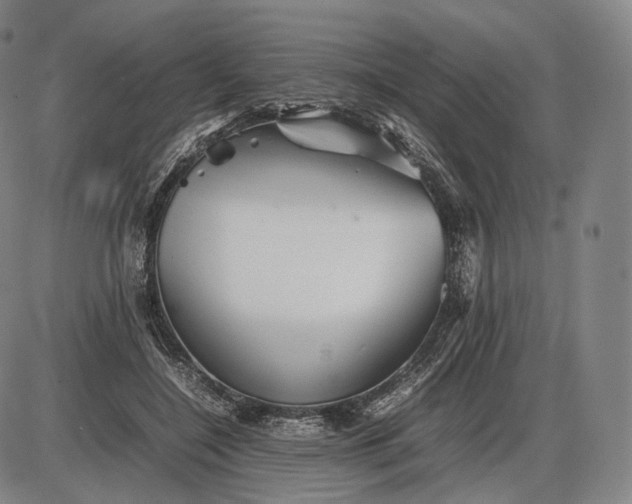 X0000085830548200703301622